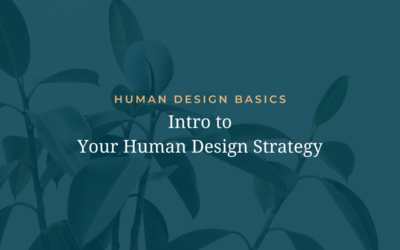 Human Design Basics: Intro to Your Strategy