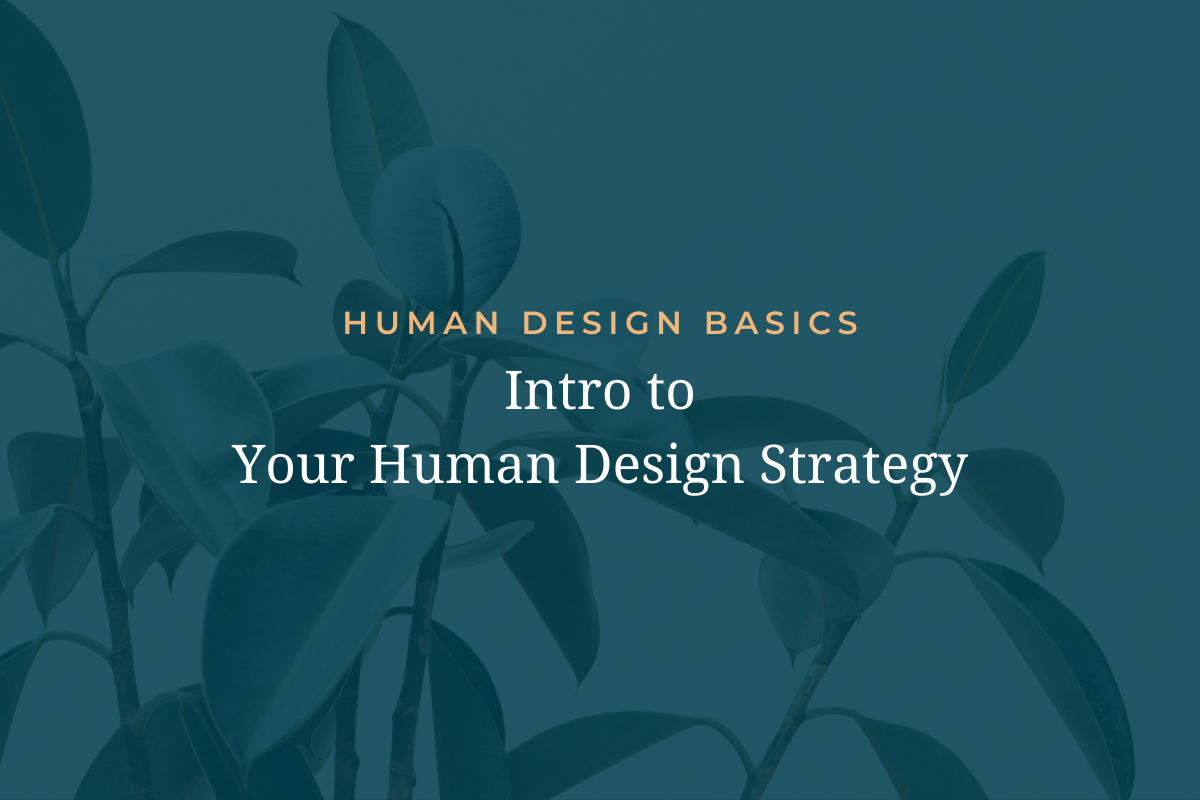 Discover your Human Design strategy to align your decisions with your unique aura type, unlocking the potential for a more fulfilling life. www.karynpaige.com
